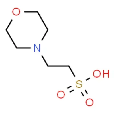 4-Morpholineethanesulfonic acid