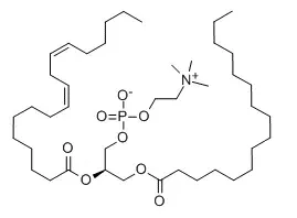 Lecithin