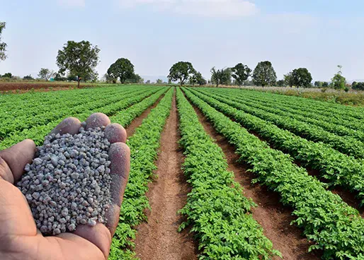 Agricultural Fertilizers