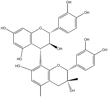 Grape Seed Extract