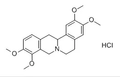 TETRAHYDROPALMATINE HYDROCHLORIDE