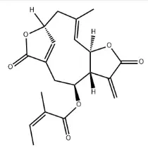 Scabertopin